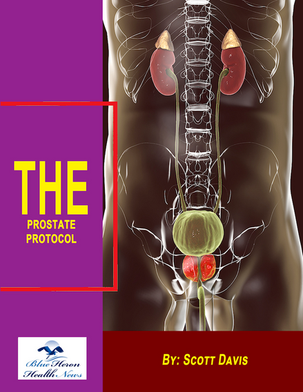 The Prostate Protocol - taking care of the prostate in a natural way